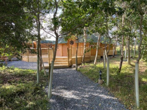 Craigshannoch Luxury 1 bed woodland lodge hot tub